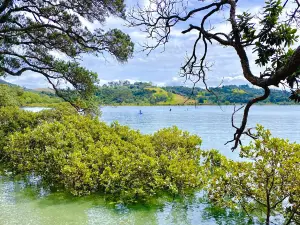Wenderholm Regional Park