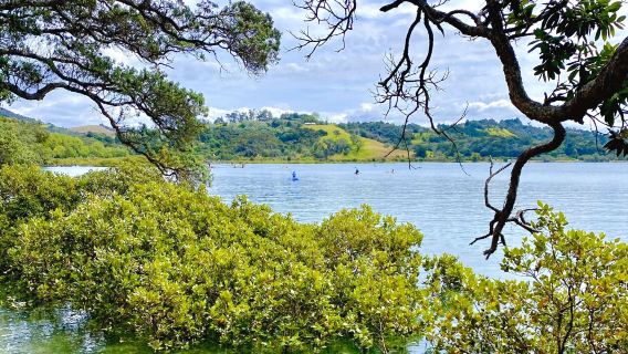 Wenderholm State Park