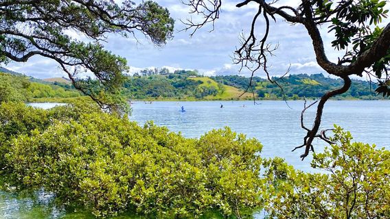 Wenderholm Regional Park