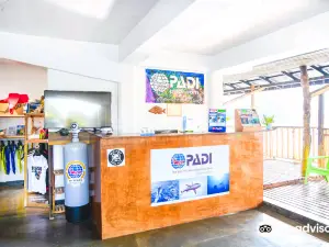 Palau Ocean Divers