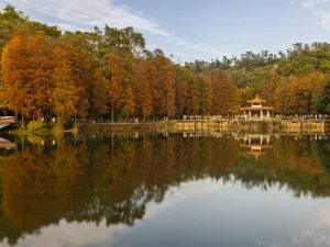 Fairy Lake Botanical Garden