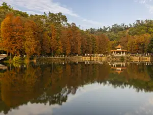 Fairy Lake Botanical Garden