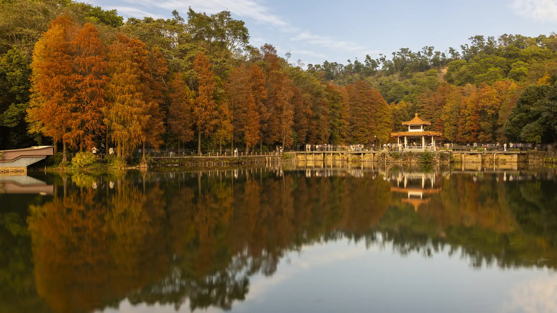 Hotels near Fairy Lake Botanical Garden