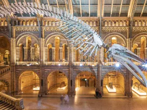 Museo di storia naturale