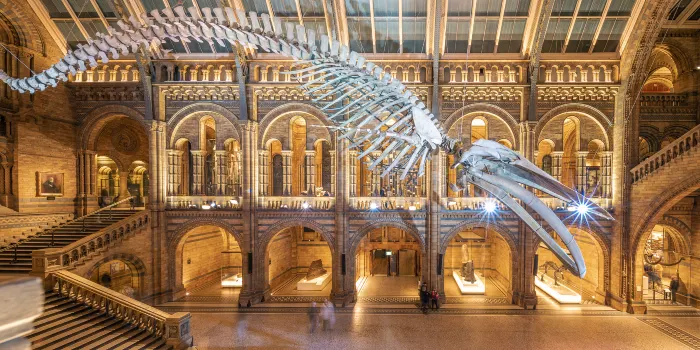 Natural History Museum image 1