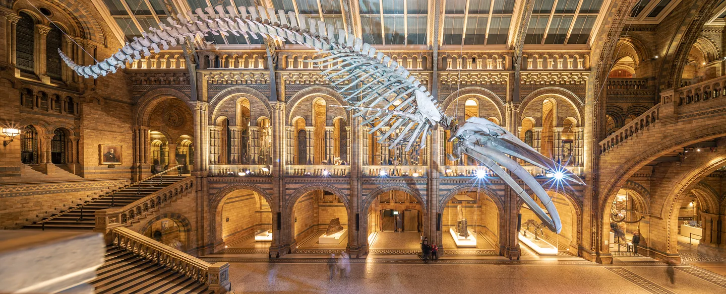 倫敦自由行 | 自然史博物館