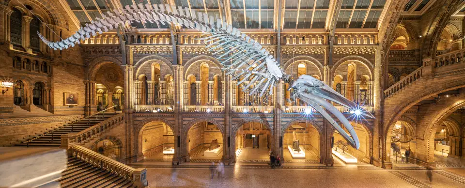 2_Natural History Museum