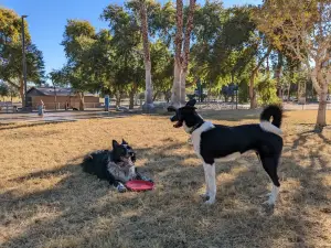 Lions Dog Park