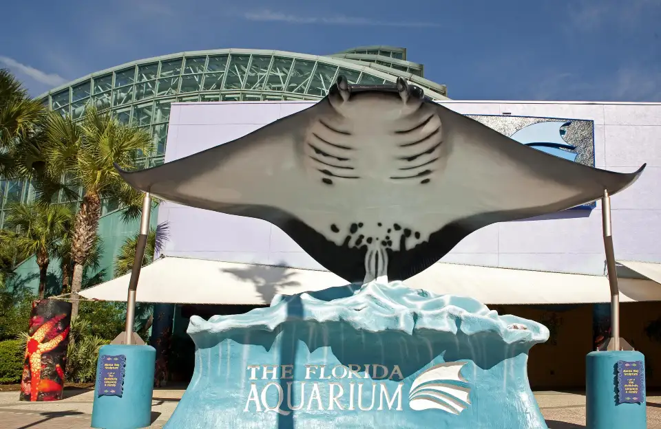 2_The Florida Aquarium