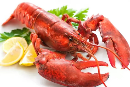 Hong ming hai xian guan369