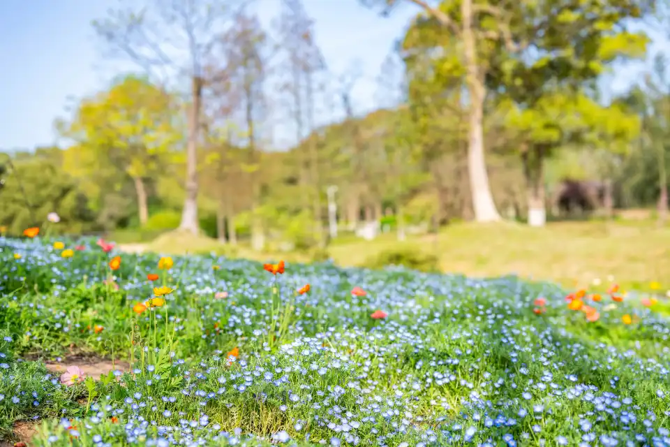 3_Changsha Landscape and Ecology Garden