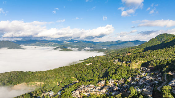 푸얼 운해 구경