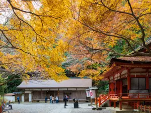 Popular Fall Viewing Attractions in Kotohira