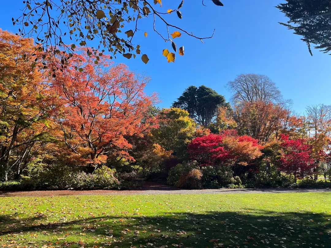 2_Christchurch Botanic Gardens