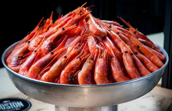 Boston Seafood & Bar