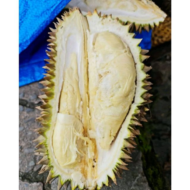 Berastagi Fruit Market