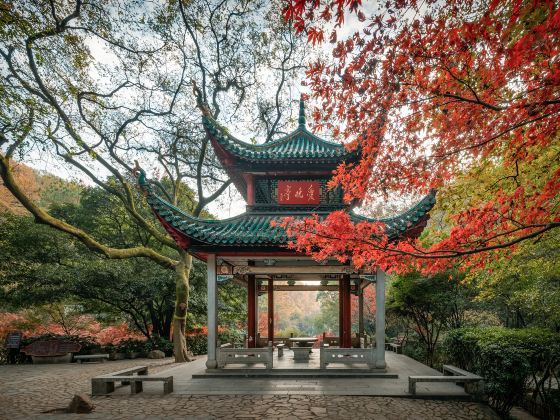 Autumn-Admiring Pavilion