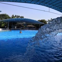 甜园农家乐 User Photo