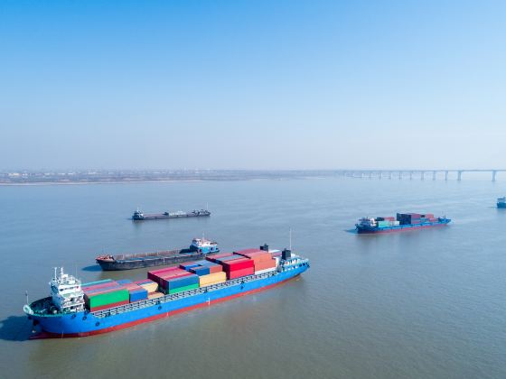 Jiujiang Changjiang Bridge