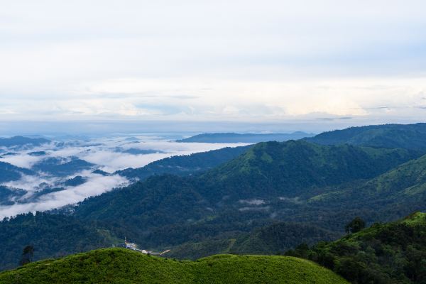 高爾寺山