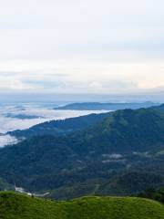 高爾寺山