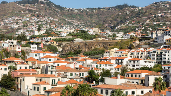 Camara de Lobos