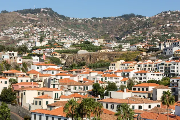 Dom Pedro Garajau