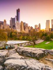 Central Park Zoo