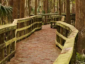Corkscrew Swamp Sanctuary