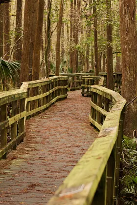 Отель типа «постель и завтрак» в г. Ки-Уэст