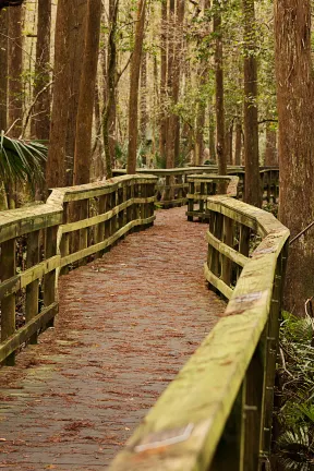 DoubleTree by Hilton Orlando Airport Hotel