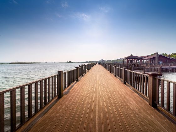 Qidoutaihu Wetland Park