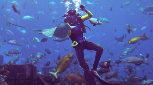 杜拜失落的空間水族館