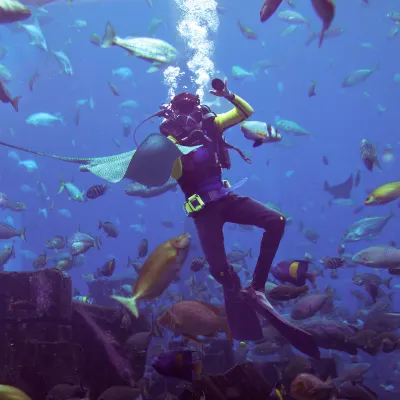 Отели в районе Пляж Джумейра