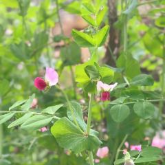 重庆聚义亭私人火锅 User Photo