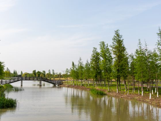 Taicang Modern Agriculture Park