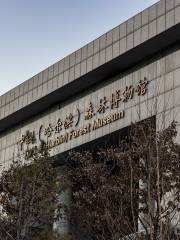 中國哈爾濱森林博物館