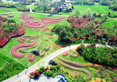 Qinglanhu Forest Park