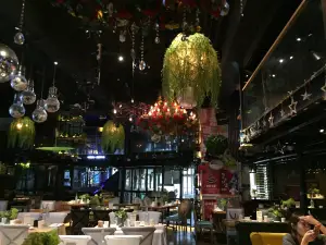 同瑶音乐酒馆(高新店)