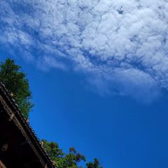 青莲居河景饭店 User Photo