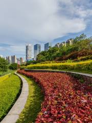 Lecong Guojia Shuili Sceneic Area