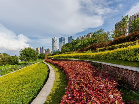 Lecong Guojia Shuili Sceneic Area