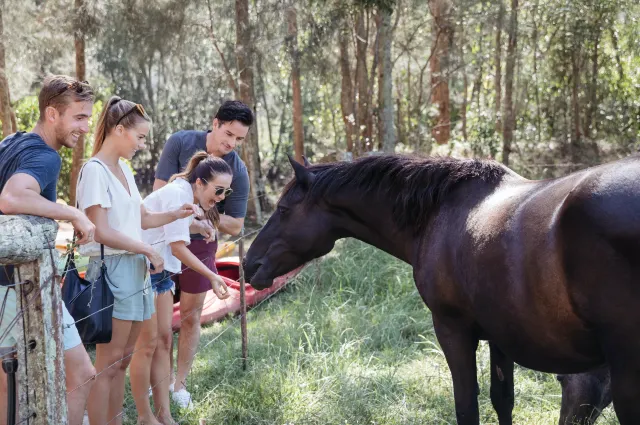 5 Incredible Road Trips from Sydney