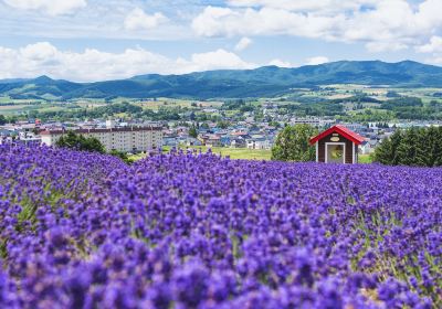 富良野