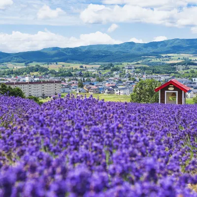 Palvelun Kylpyammeita tarjoavat hotellit kohteessa Furano
