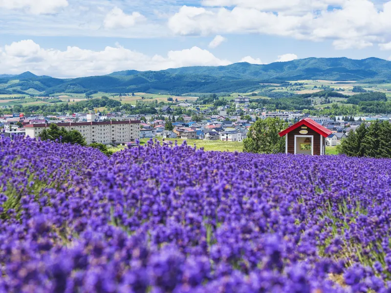 Furano