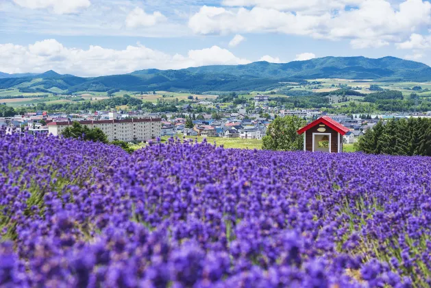 Vé máy bay Nakashibetsu Fukushima