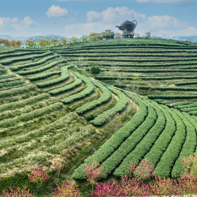 百色小旅館