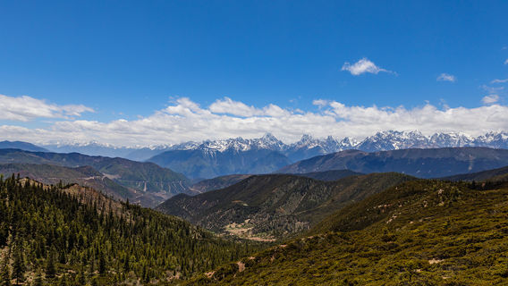 Honglashandian Golden Monkeys National Natural Reserve
