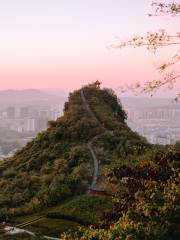 Dazhong Mountain